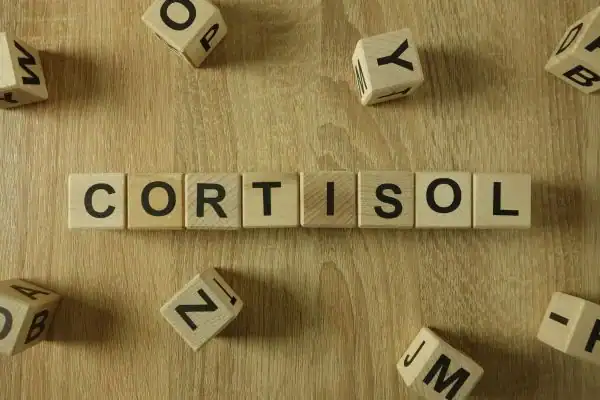 Image saying "Cortisol" and how stress Horsham impacts your wellbeing and bodies shape